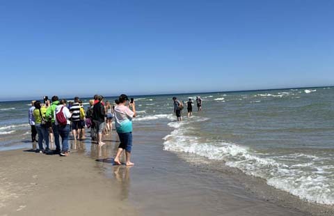 Grenen, wo sich zwei Meere treffen